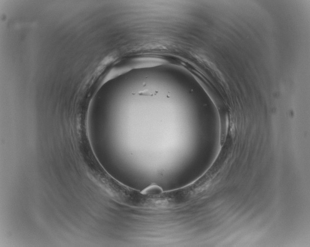 X0000076270260200609281213