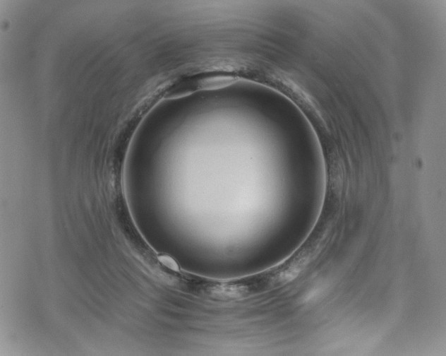 X0000076270261200609281213