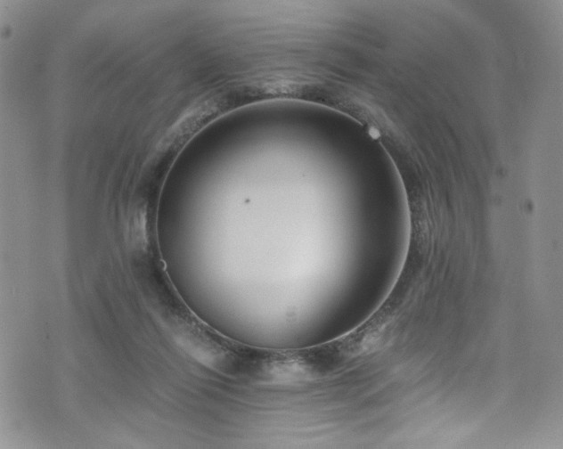 X0000076270262200609281213