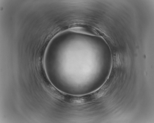 X0000076270263200609281213