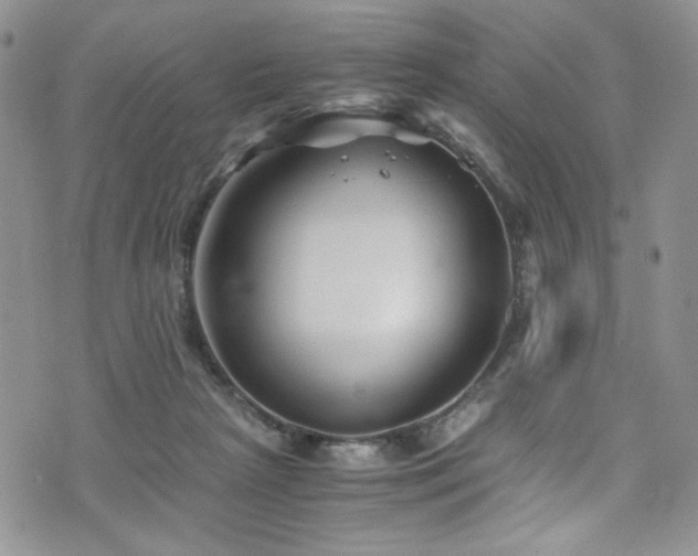 X0000076270265200609281213