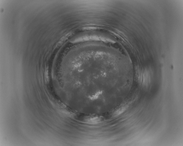 X0000076270267200609281213