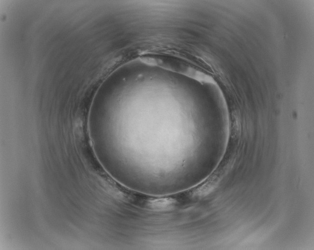 X0000076270269200609281213