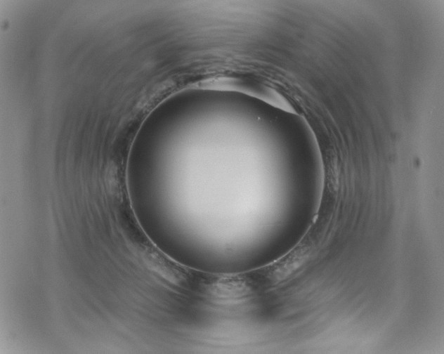 X0000076270270200609281213