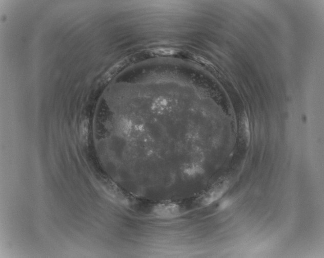 X0000076270271200609281213