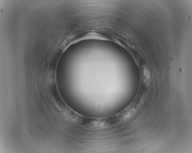 X0000076270272200609281213