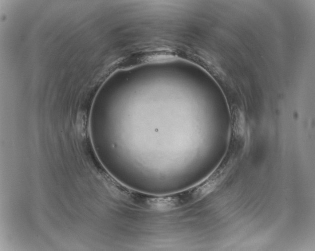 X0000076270273200609281213