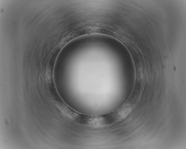 X0000076270274200609281213