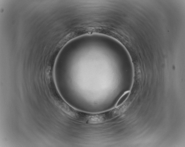 X0000076270275200609281213