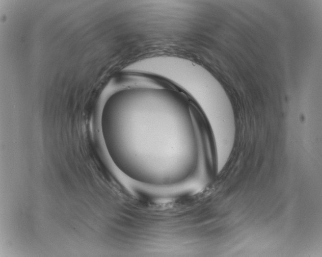 X0000076270276200609281213