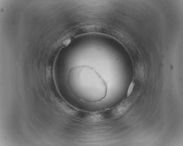 X0000076270278200609281213