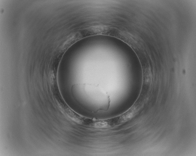 X0000076270279200609281213