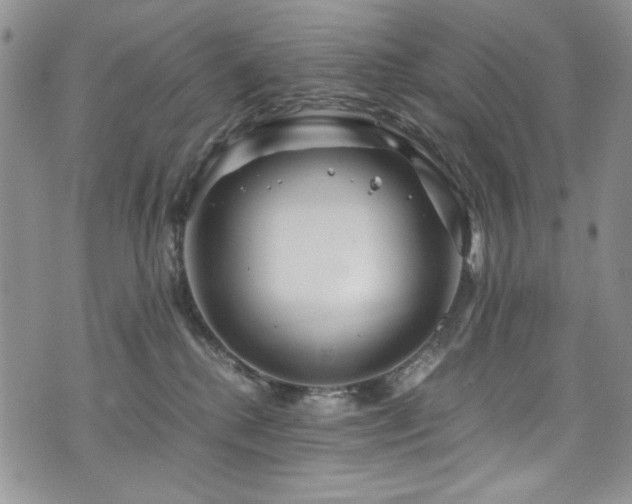 X0000076270280200609281213