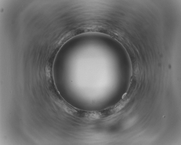 X0000076270282200609281213