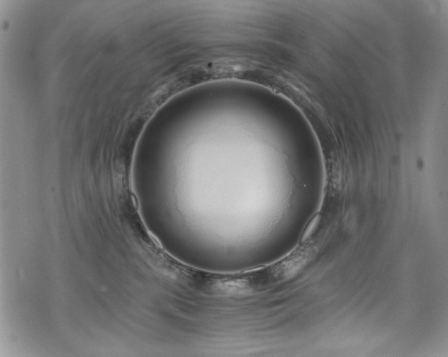 X0000076270283200609281213