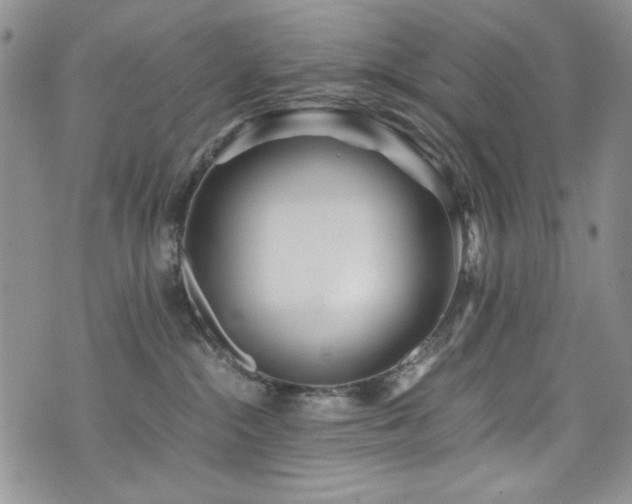 X0000076270284200609281213