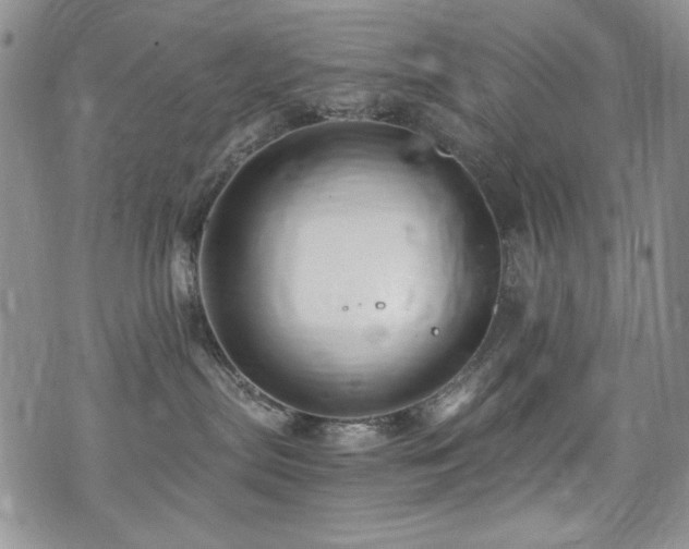 X0000076270287200609281213