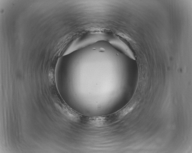 X0000076270288200609281213