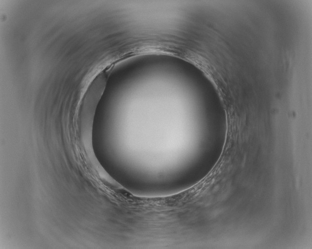 X0000076270289200609281212