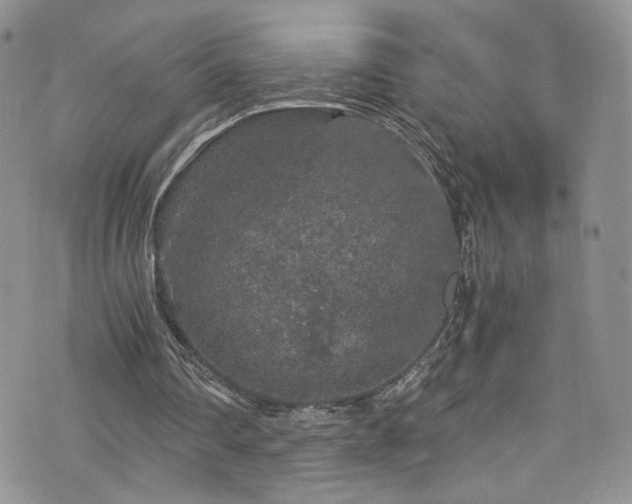 X0000076270290200609281212