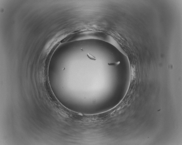 X0000076270291200609281212