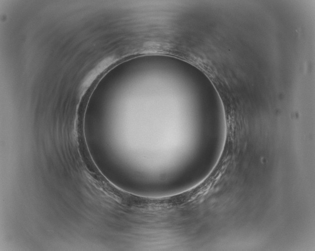 X0000076270292200609281212