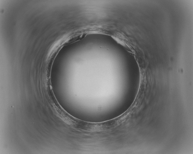 X0000076270293200609281212