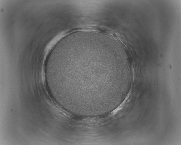 X0000076270294200609281212