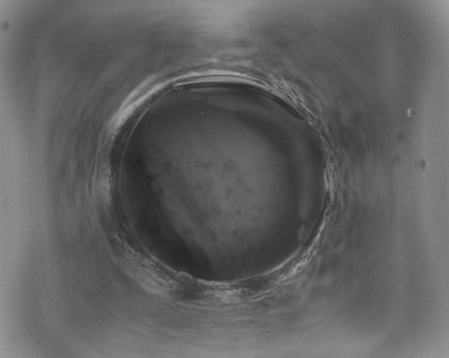 X0000076270295200609281212