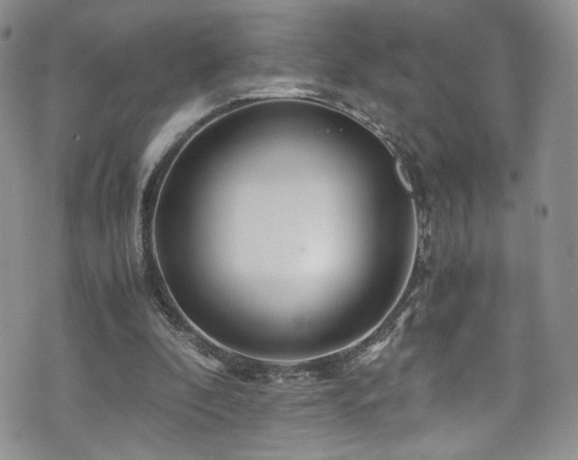 X0000076270296200609281212