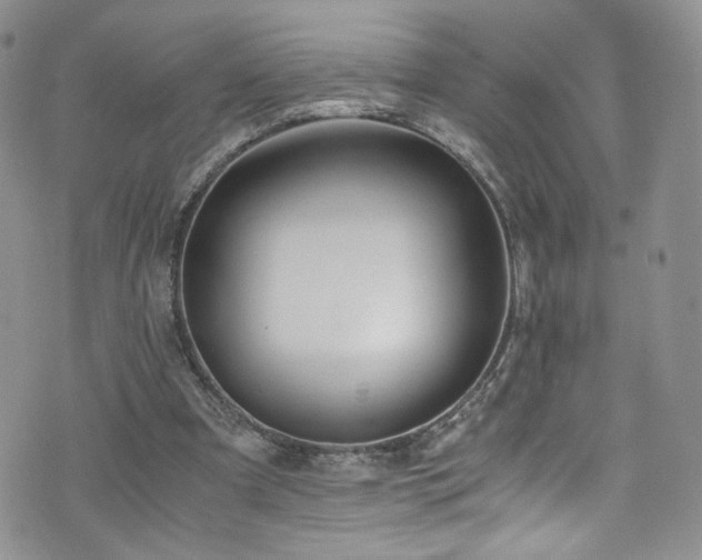 X0000076270297200609281212