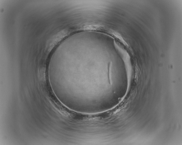 X0000076270299200609281212