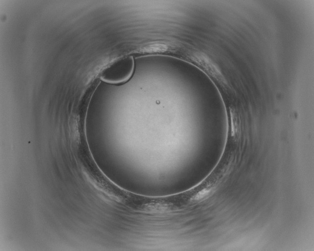 X0000076270300200609281212