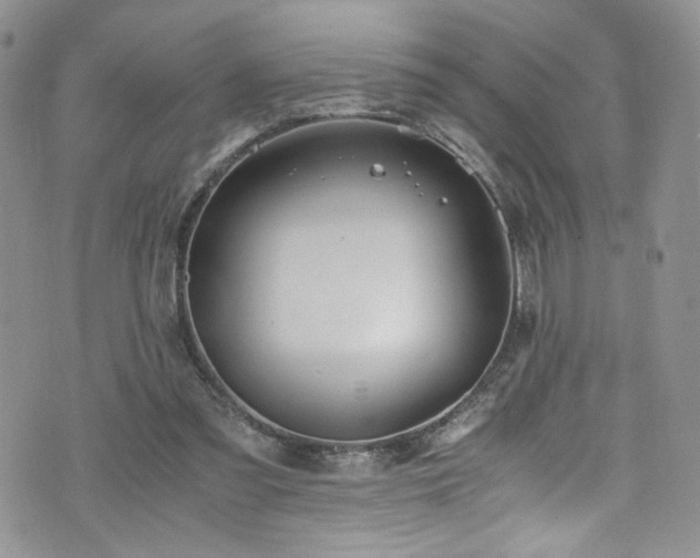 X0000076270301200609281212