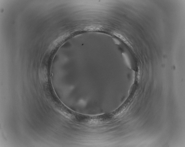 X0000076270303200609281212