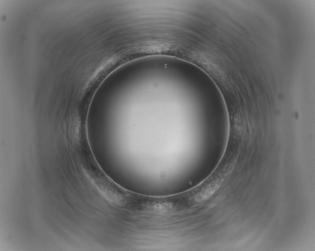 X0000076270304200609281212