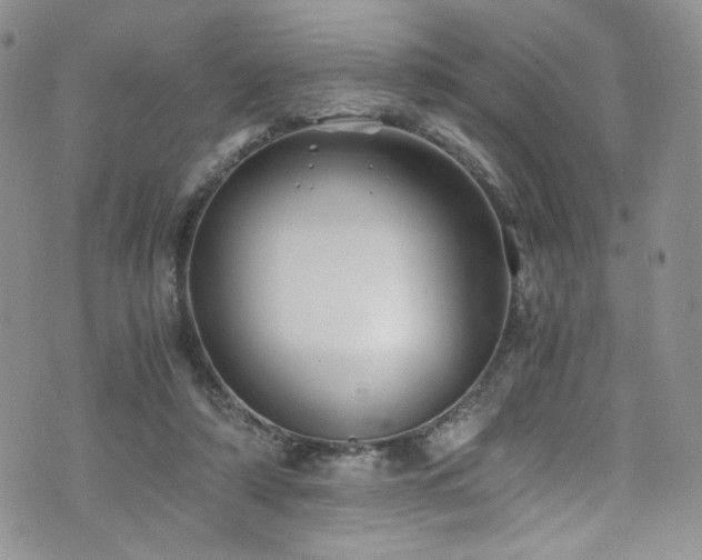 X0000076270306200609281212