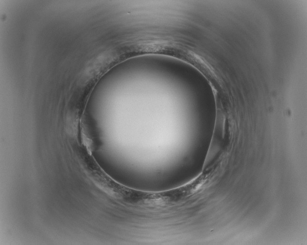 X0000076270307200609281212