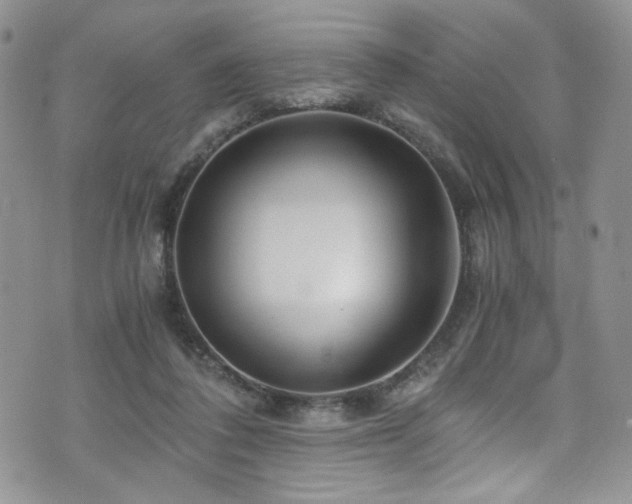 X0000076270308200609281212