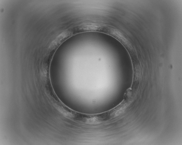 X0000076270309200609281212