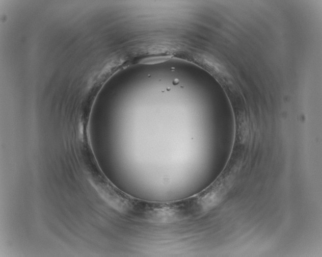 X0000076270310200609281212