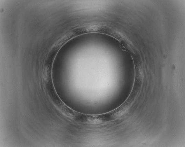 X0000076270311200609281212