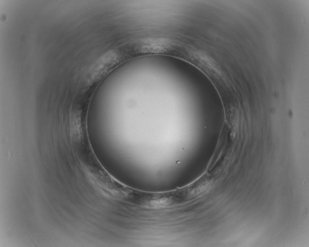 X0000076270312200609281212