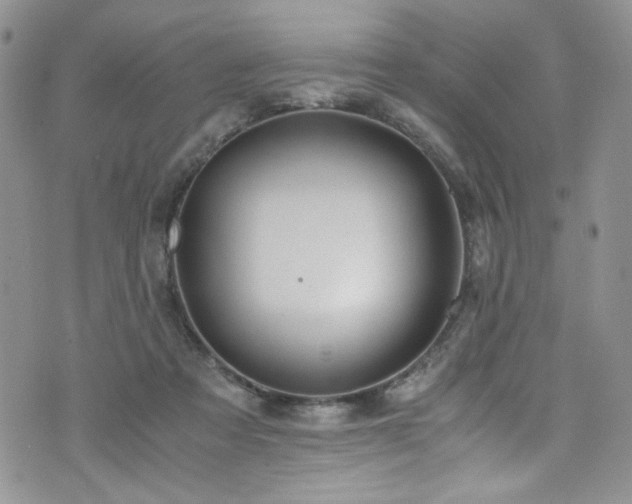 X0000076270313200609281212