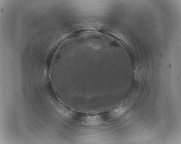 X0000076270314200609281212