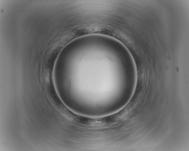 X0000076270315200609281212