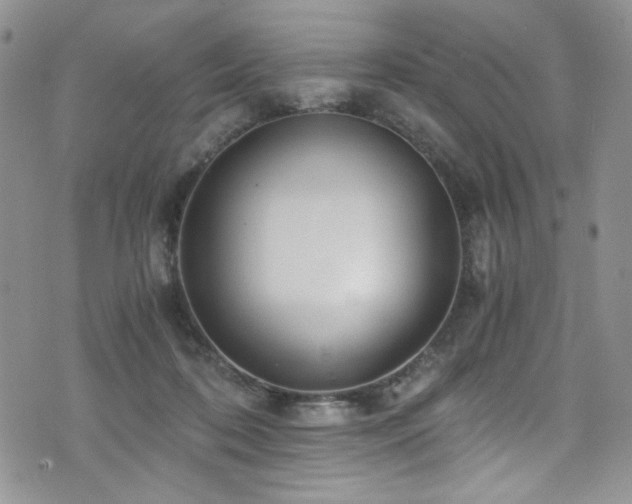 X0000076270316200609281212