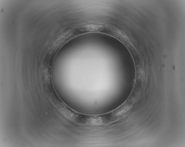 X0000076270317200609281212