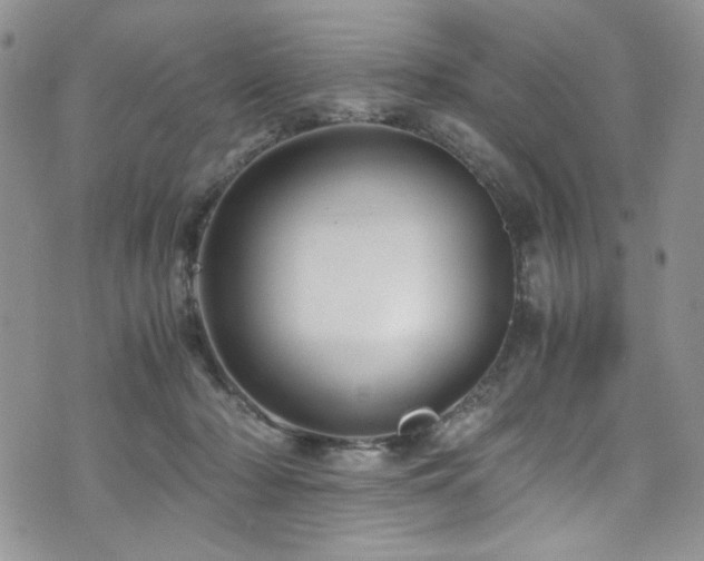 X0000076270318200609281212