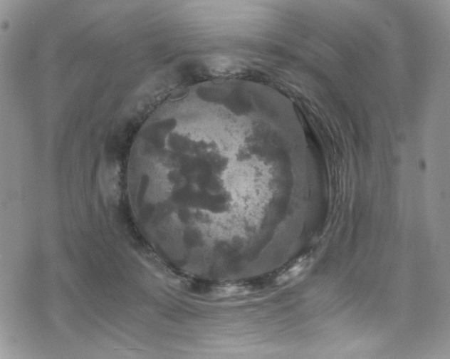 X0000076270319200609281212